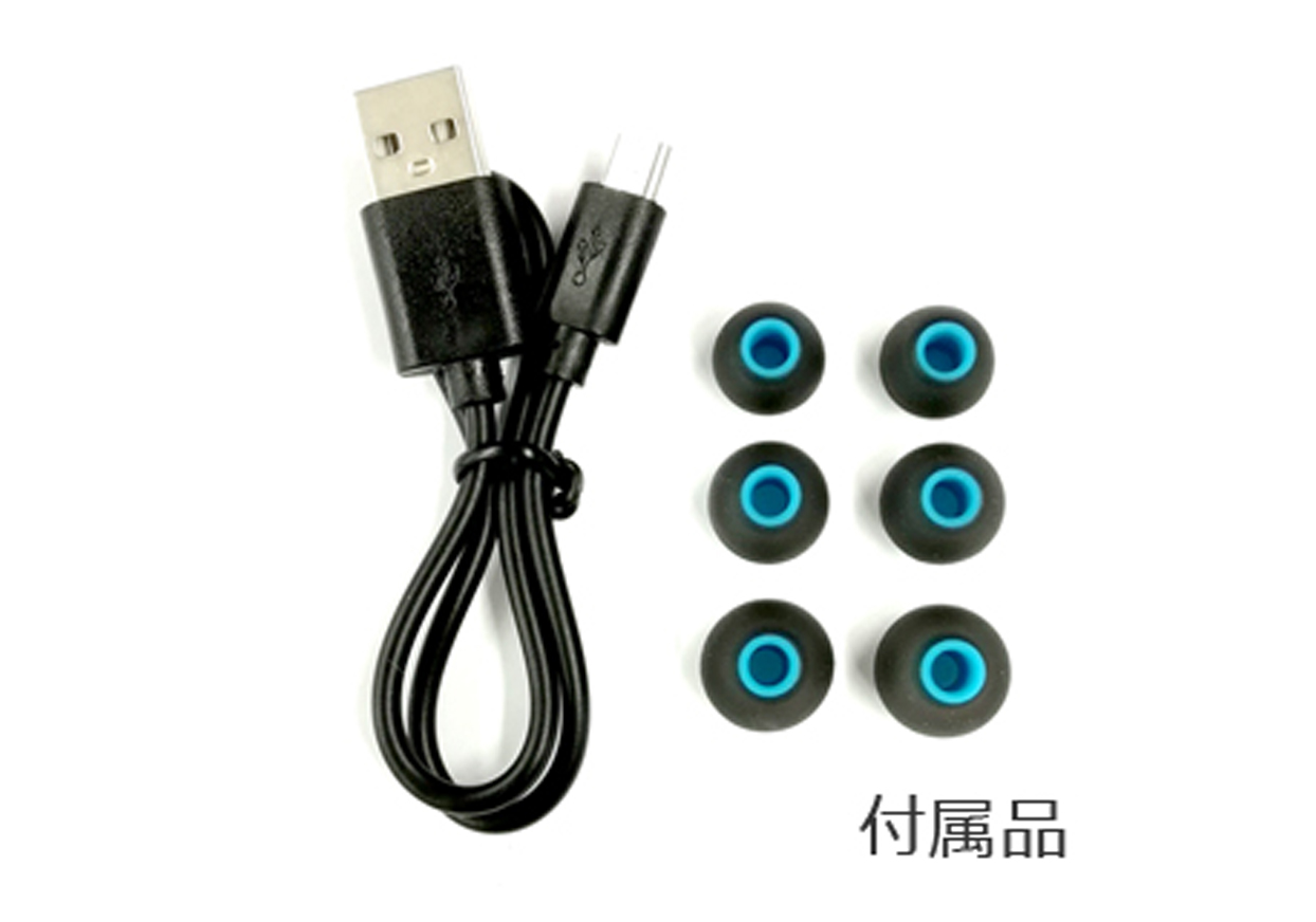 完全ワイヤレスイヤホン 充電ケース付 BK – kashimura