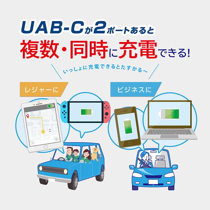 ダイレクトソケット 2PD30W – カシムラ