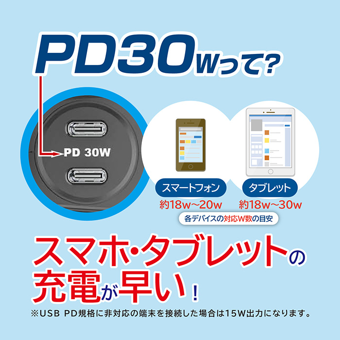 ダイレクトソケット 2PD30W – カシムラ